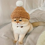 金光閃閃